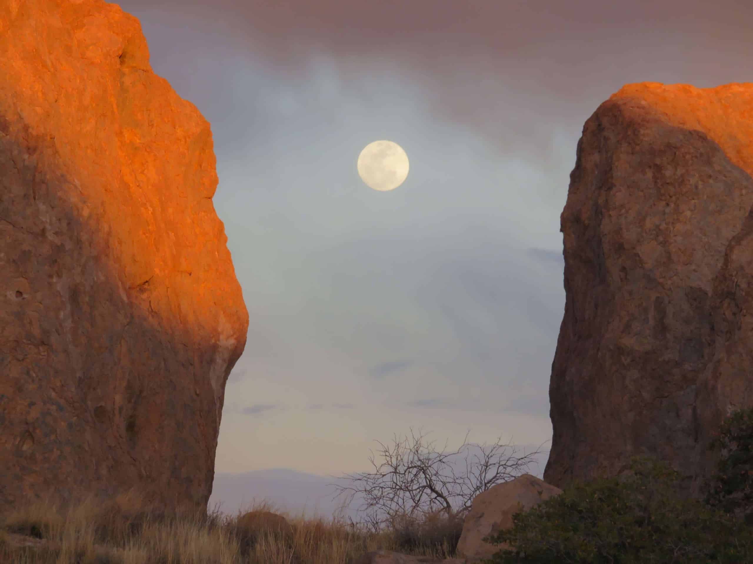 MoonRiseIMG_1008