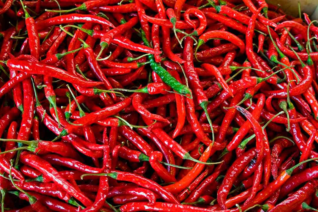 pungent flavor in Ayurveda six tastes