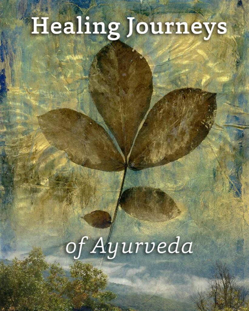 healing journeys ayurveda