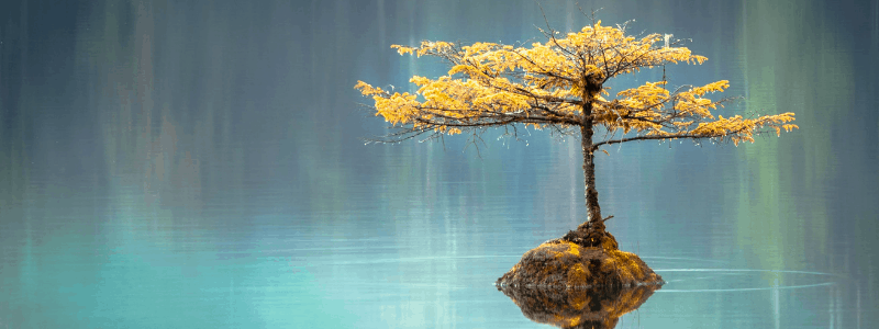 Event Image Header