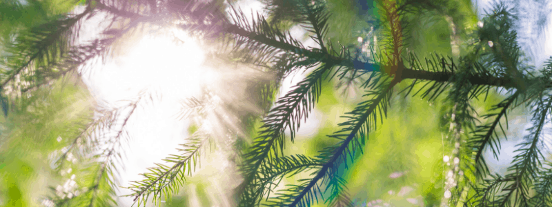 Event Image Header