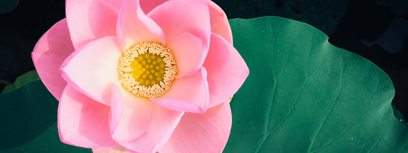 Event Header Image