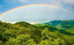 rainbow event image