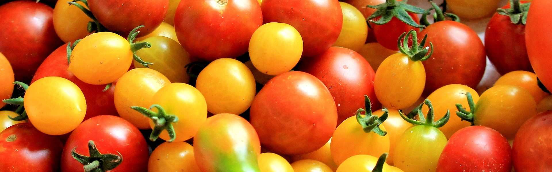 tomatoes 1569280 1920 e1566668713667