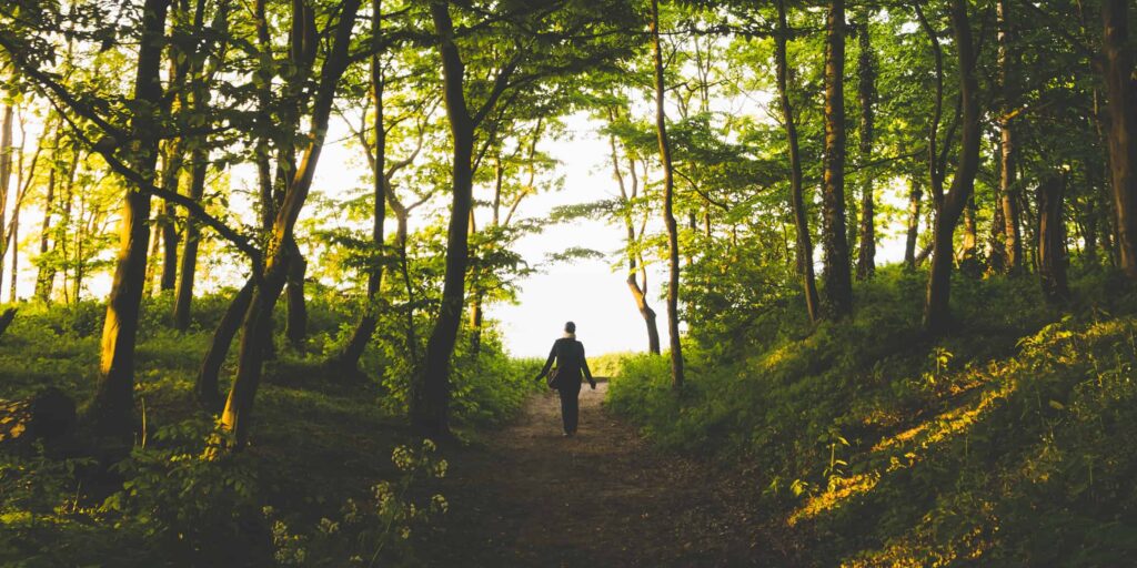 philipp deus WF7 W7pn70Q unsplash walkingtrail 2400x1200