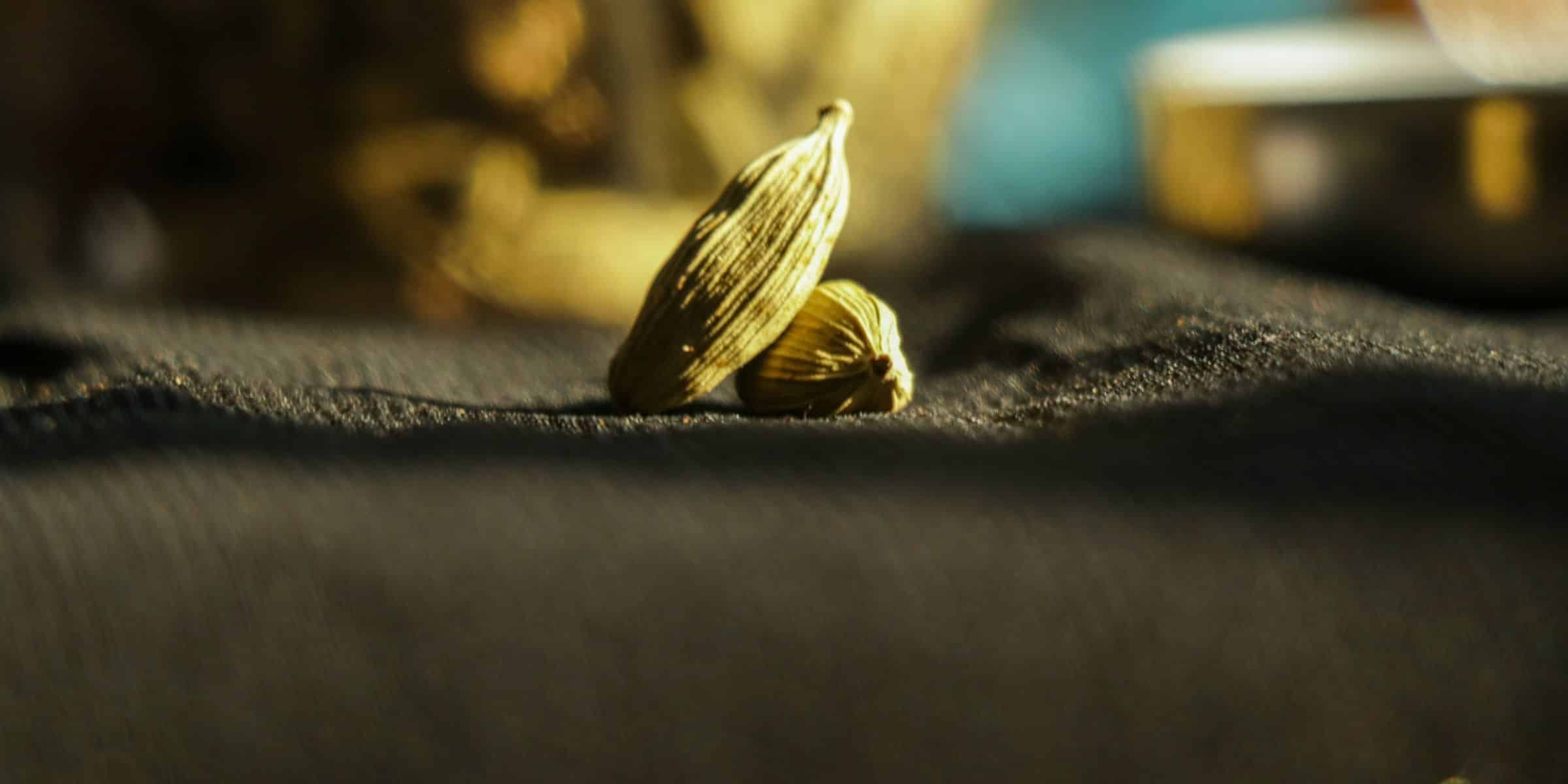 cardamom bannerIMG