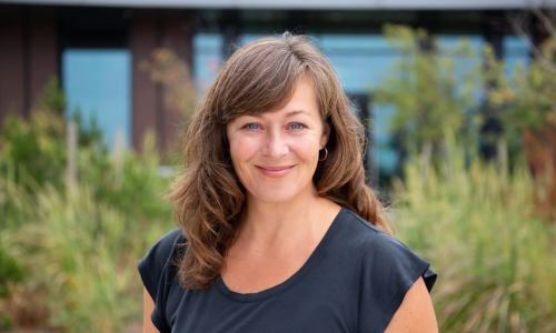 Dynamic Aging: Menopause & Movement