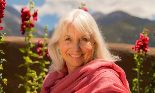 The Embodiment of the Cellular Body