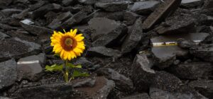Magic Mess - Neeta Bhushan Blog 2023