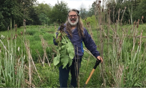 Shamanism & Herbalism