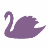 Swan Swan