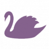 Swan