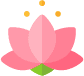 lotus lotus