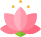 lotus lotus