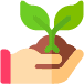 plant plant