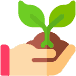 plant plant