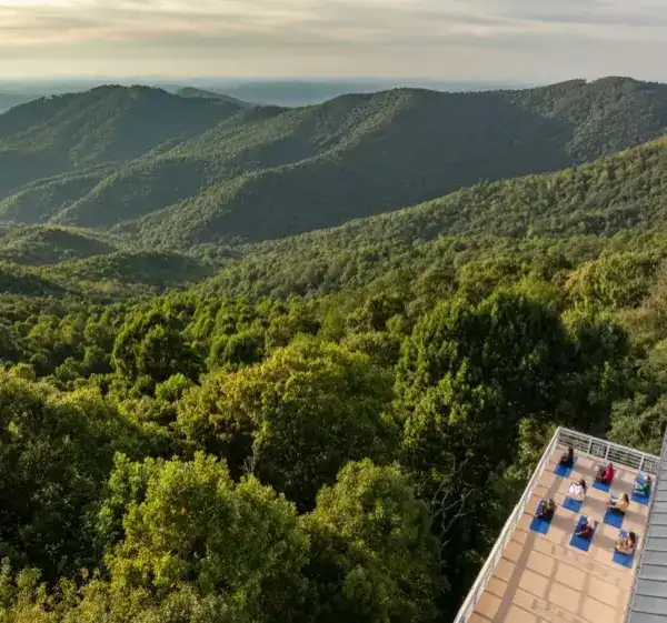 Wellness Retreats