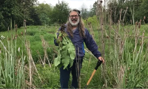 Shamanism & Herbalism