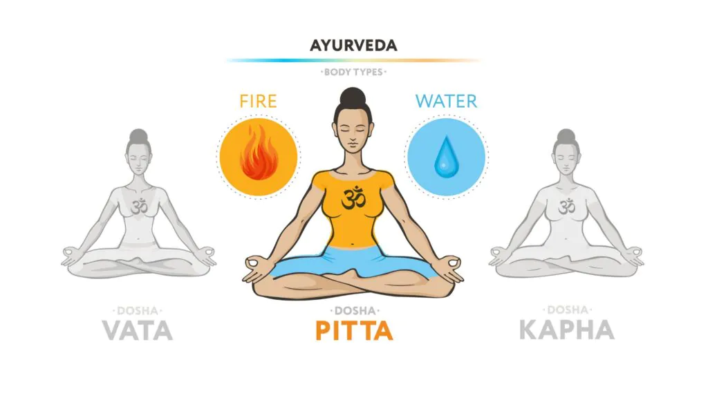 Pitta: The Transformer